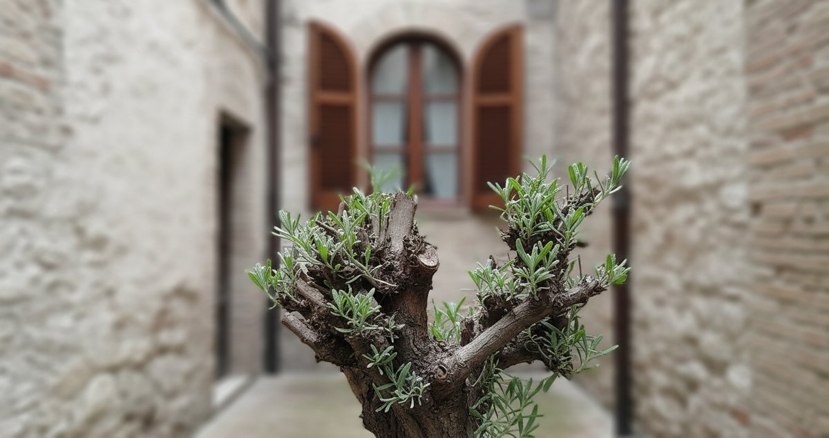 rianima-le-piante-vecchie-metodo-potatura-innovativo